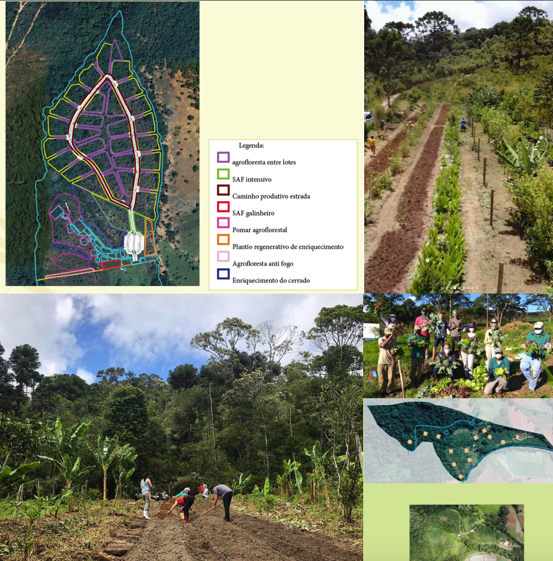 Montagem de mapas de planejamento, implantação agroflorestal e trabalho coletivo em empreendimentos.