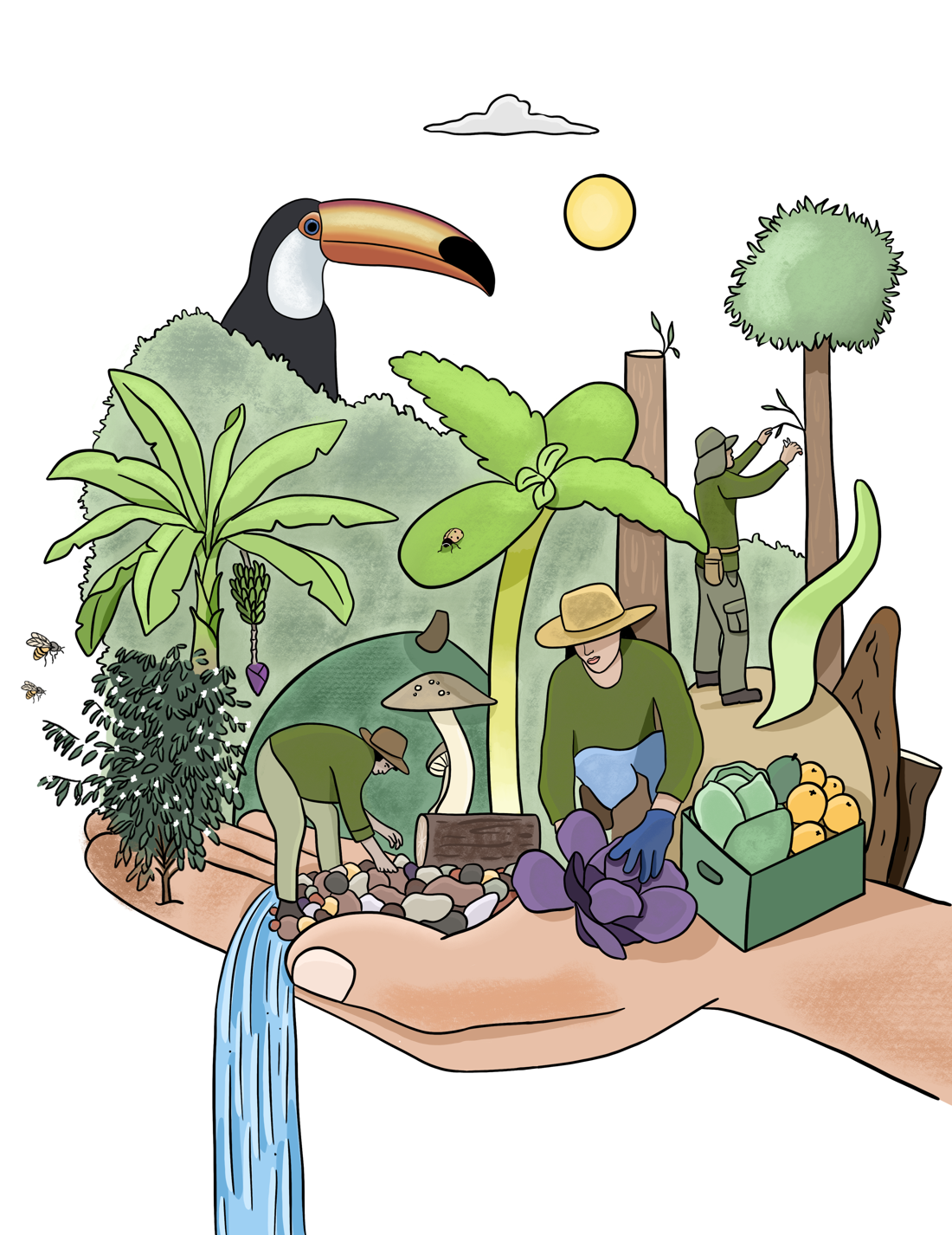 Ilustração institucional da Yacarantã: uma mão sustenta um ecossistema com plantas, água, fauna e pessoas trabalhando na agrofloresta.