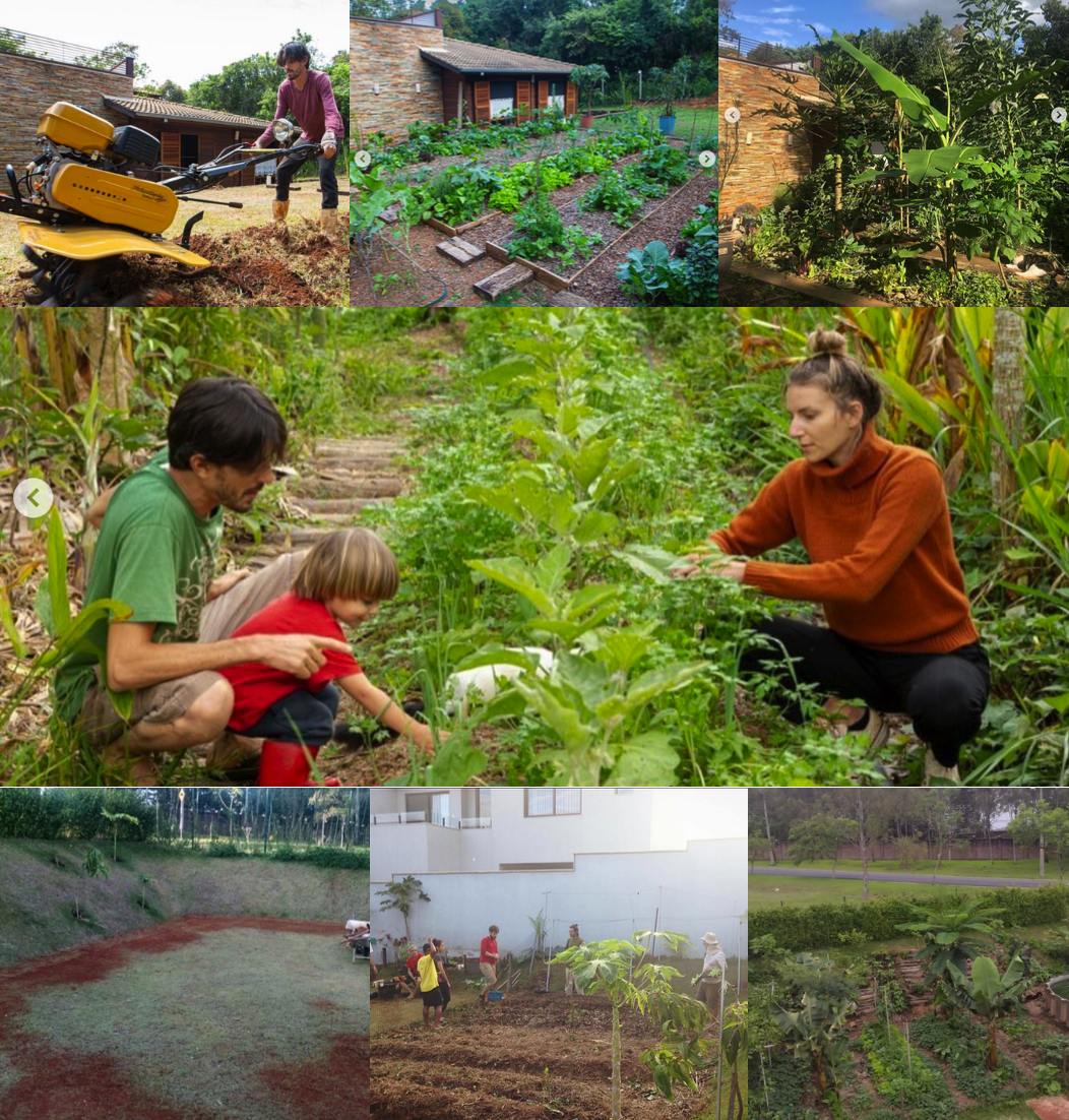 Montagem de quintais agroflorestais e áreas coletivas de condomínios em diferentes etapas.
