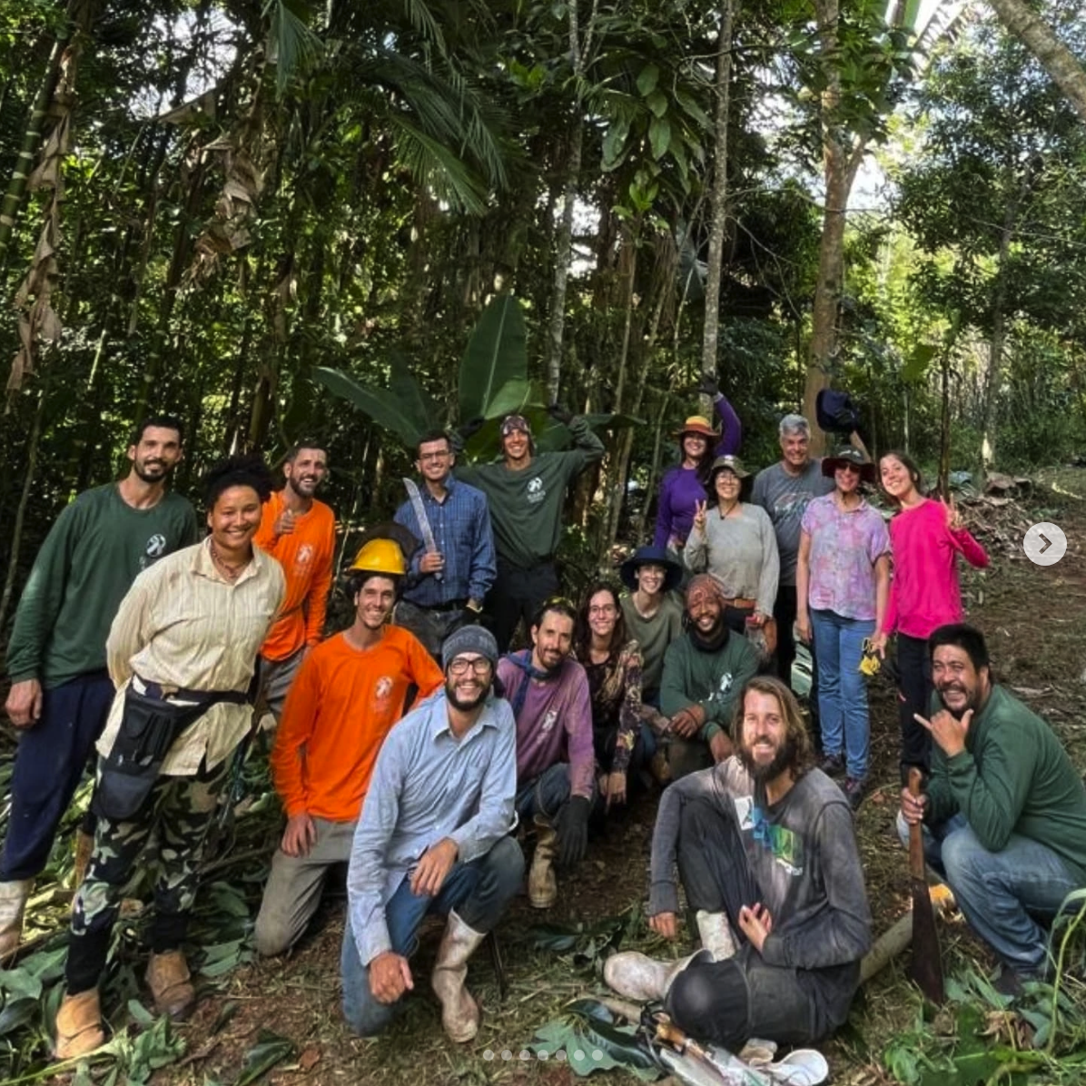 Grupo de pessoas reunidas em uma área de agrofloresta.