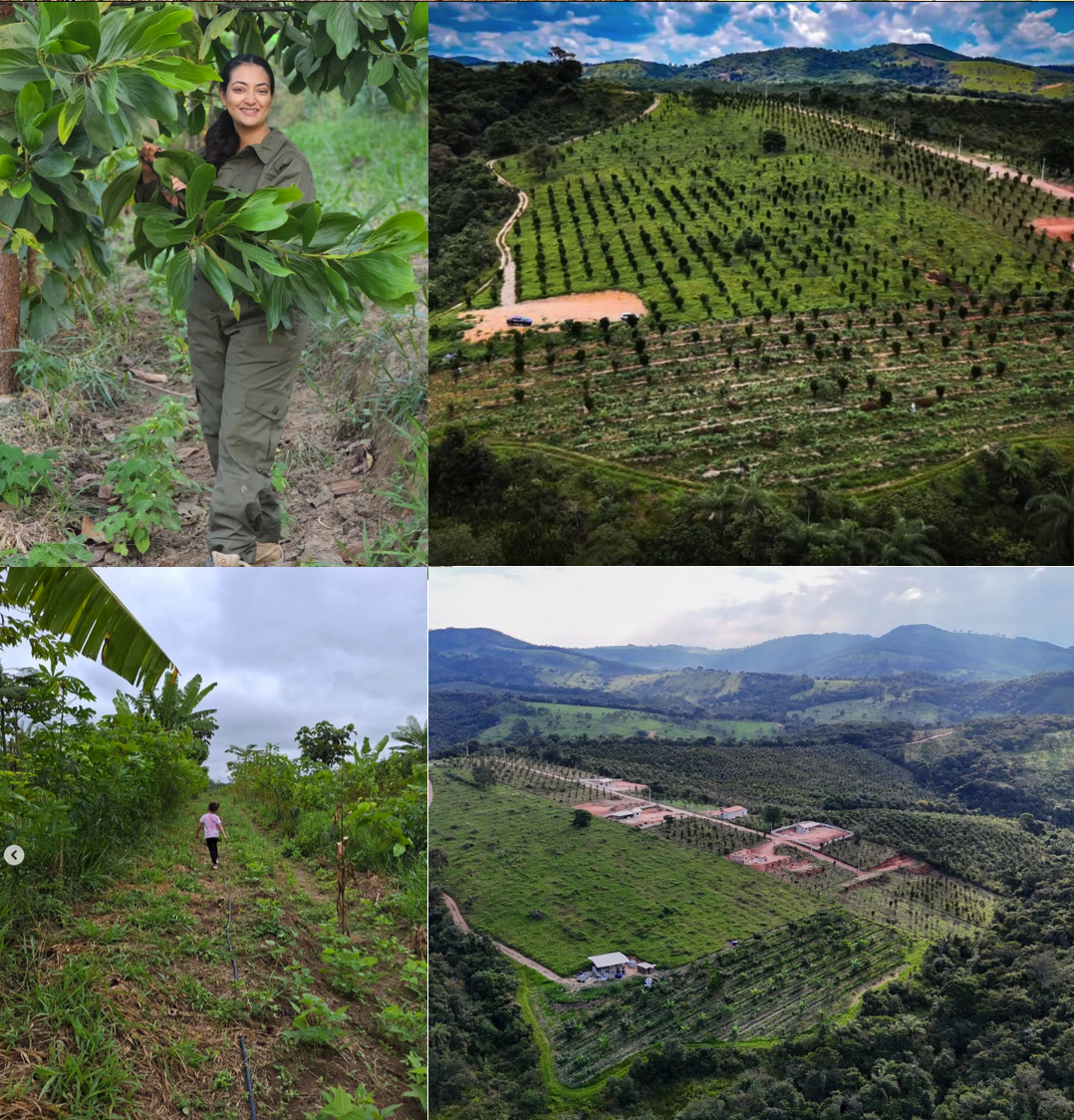 Montagem de paisagens produtivas, área em transição e trabalho em agrofloresta.